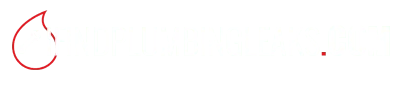 IFINDPLUMBINGLEAKS.COM IFINDPLUMBINGLEAKS.COM